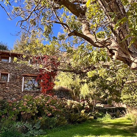 Вилла La Casa Del Nogal Гуэхар-Сьерра Экстерьер фото