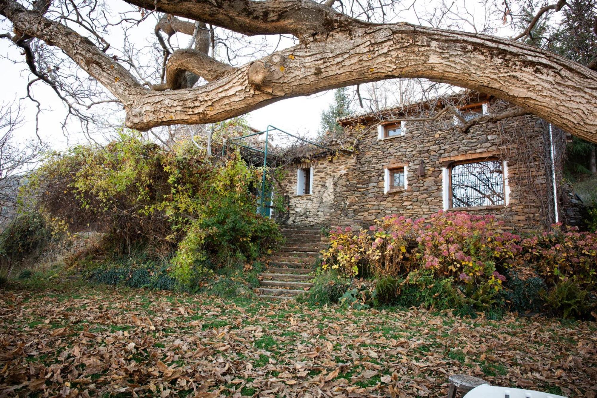 Вилла La Casa Del Nogal Гуэхар-Сьерра Экстерьер фото